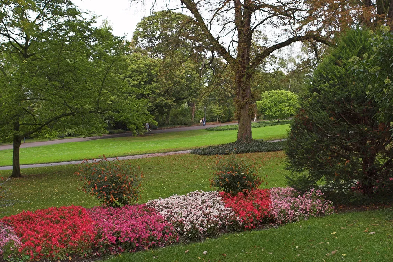 Stadtpark Mainz - Stadtpark Mainz