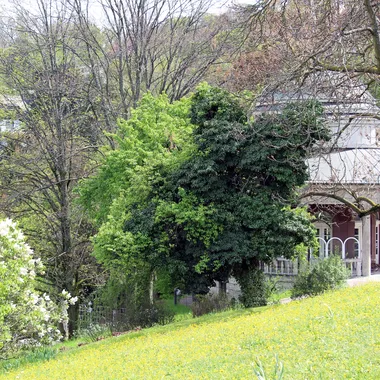Weißenburgpark - Stuttgart - Teehaus im Weissenburgpark