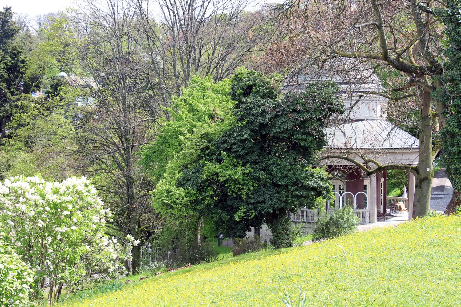 Weißenburgpark - Stuttgart - Teehaus im Weissenburgpark