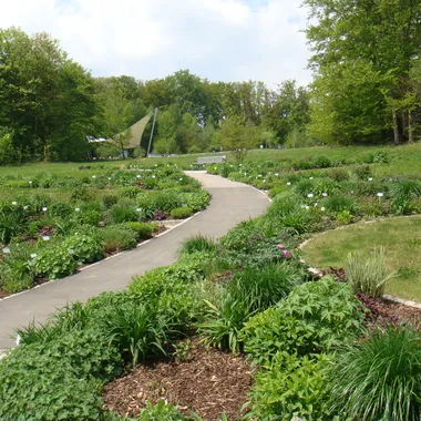 Botanische Garten der Universität Ulm - Tagliliengarten