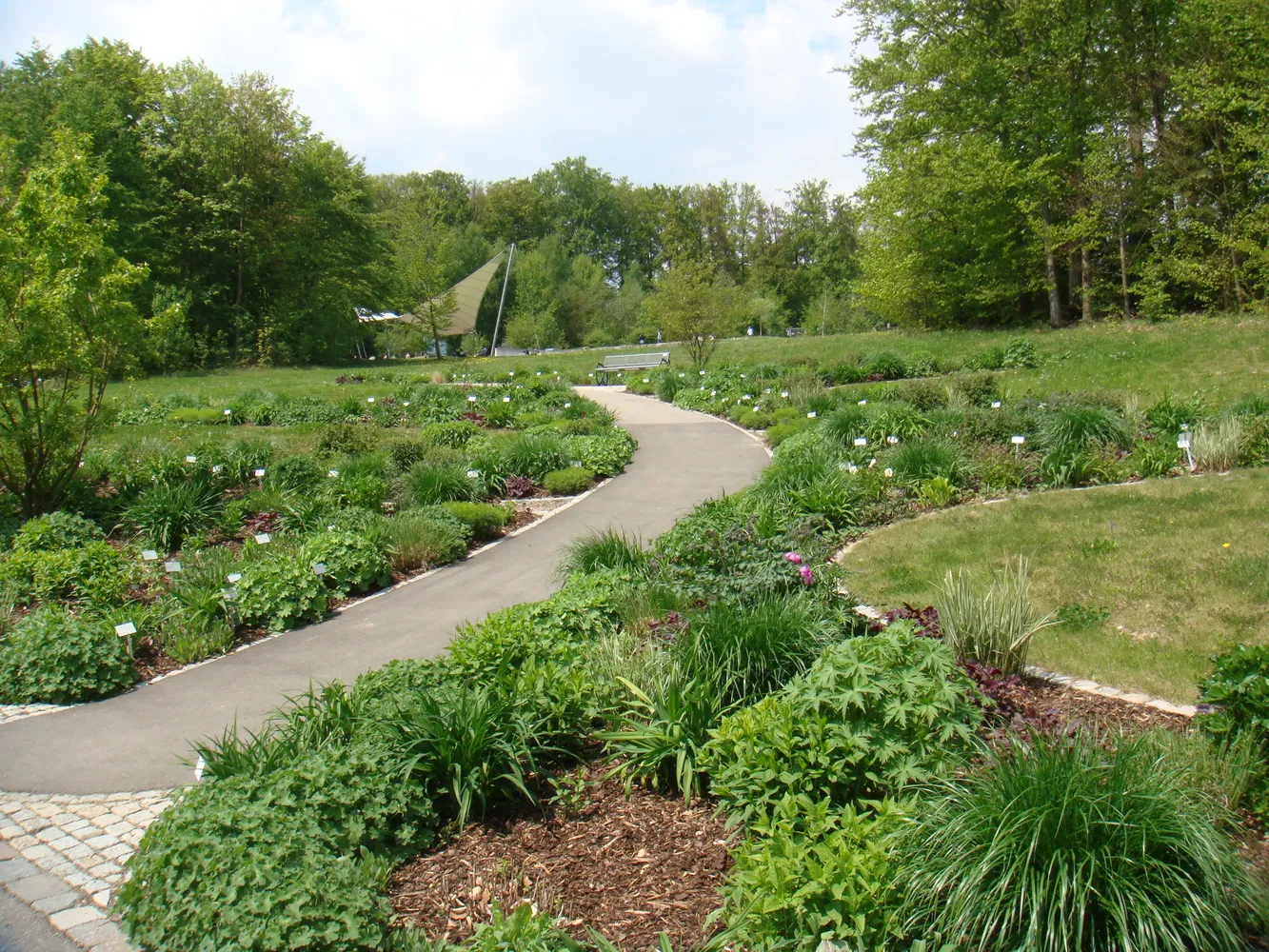 Botanische Garten der Universität Ulm - Tagliliengarten