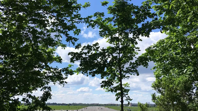 Tempelhofer Feld