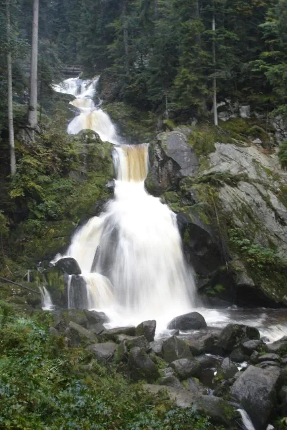 Triberger Wasserfälle - Triberg3
