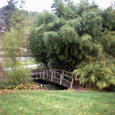Botanischer Garten der Universität Tübingen - Tübingen - Neuer Botanischer Garten 7