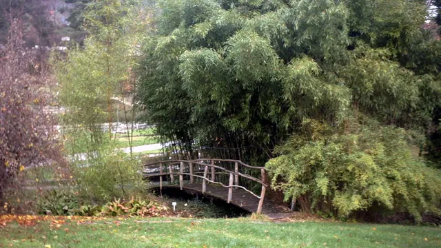 Botanischer Garten der Universität Tübingen