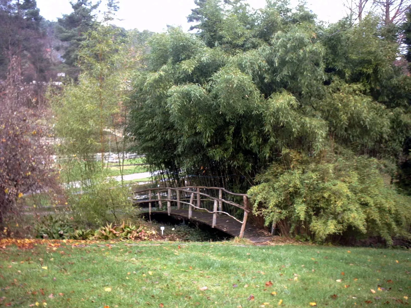 Botanischer Garten der Universität Tübingen - Tübingen - Neuer Botanischer Garten 7
