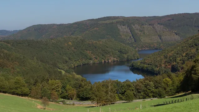 Nationalpark Eifel