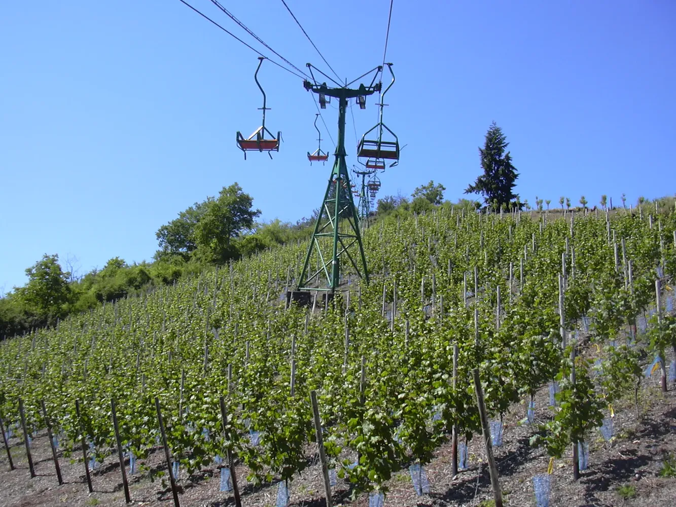 Sesselbahn Boppard - Vierseenblicklift