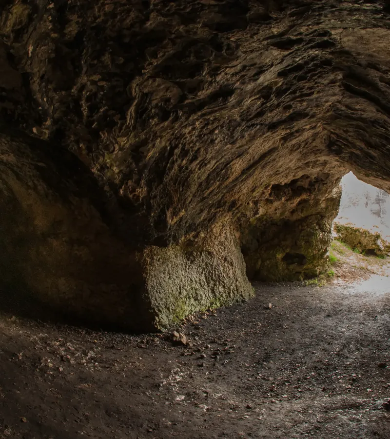 Vogelherd cave