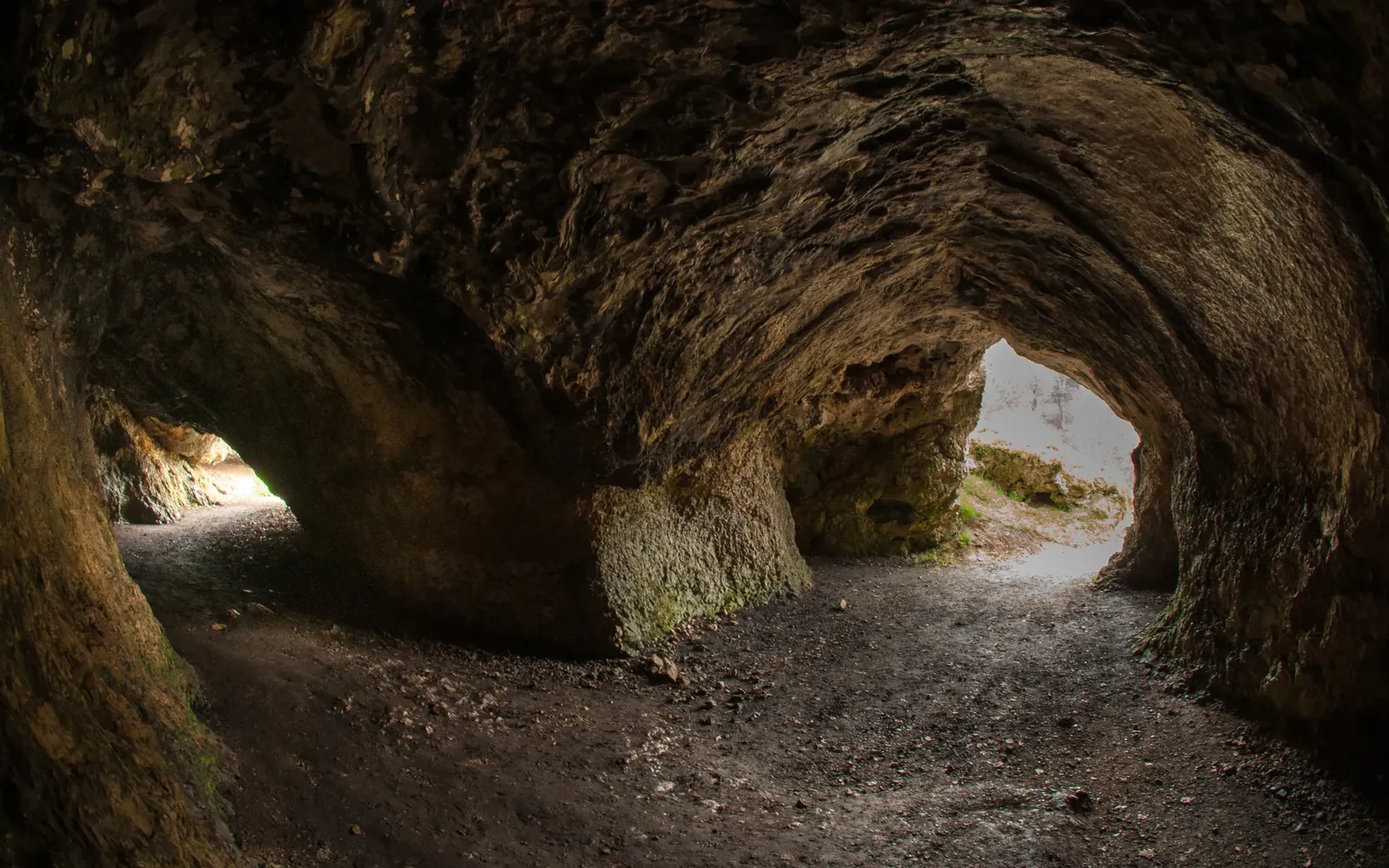 Vogelherdhöhle - Vogelherdhoehle innen