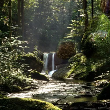 Ehrbachklamm - Wasserfall in der Ehrbachklamm