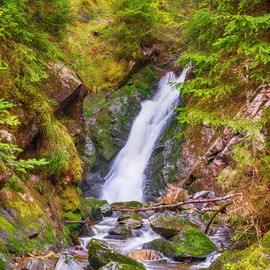 Menzenschwander Wasserfälle bei St. Blasien - Wasserfälle im Maria Loch I