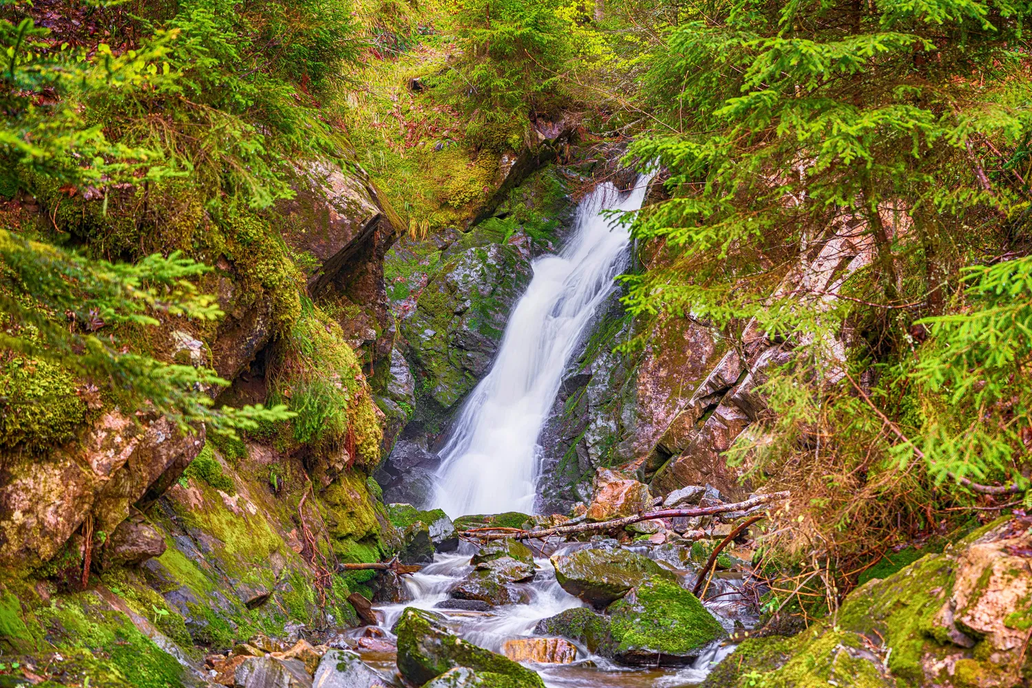 Menzenschwander Wasserfälle bei St. Blasien - Wasserfälle im Maria Loch I