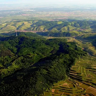 Kaiserstuhl - Wiki Kaiserstuhl