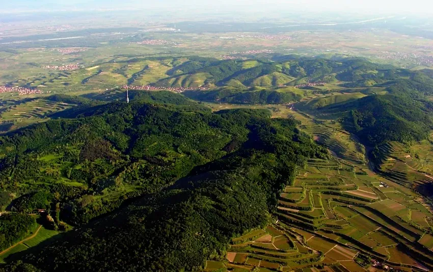 Kaiserstuhl - Wiki Kaiserstuhl
