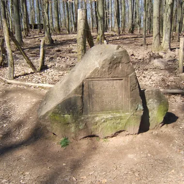 Wildpark Betzenberg - Wildpark KL Stein